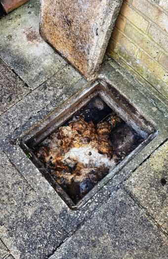 https://plumberdoubleview.com.au/uploads/2025/06/blocked-drains-465055.jpg