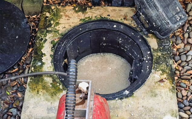 https://plumberdoubleview.com.au/uploads/2025/06/blocked-drains-820453.jpg